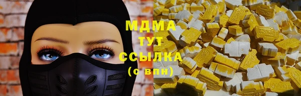 прущие грибы Беломорск