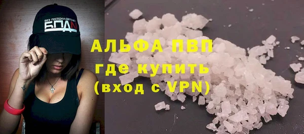 прущие грибы Беломорск