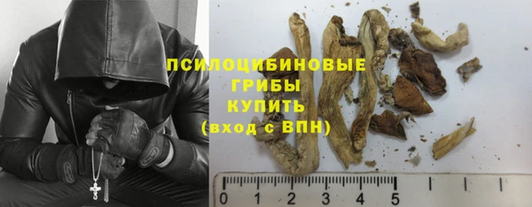 стафф Богородск