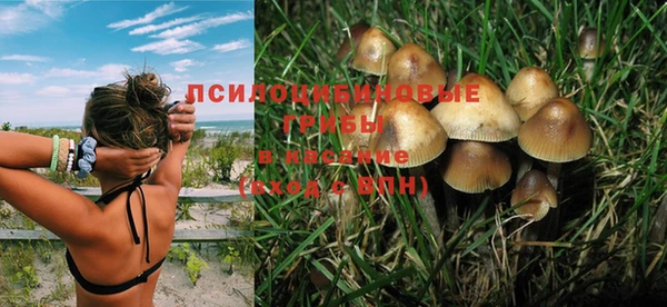 кокс Белокуриха