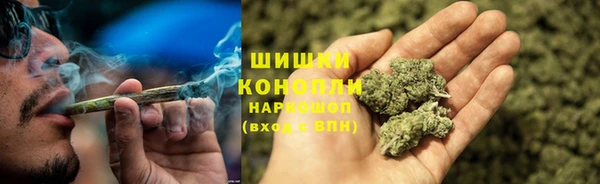 кокс Белокуриха