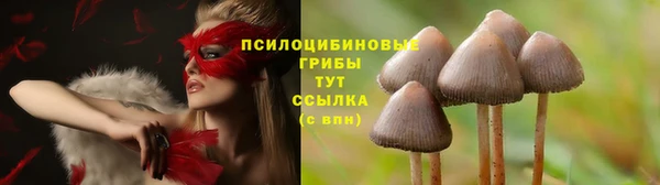 соль ск Балабаново