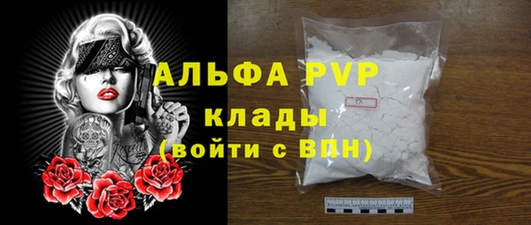 прущие грибы Беломорск