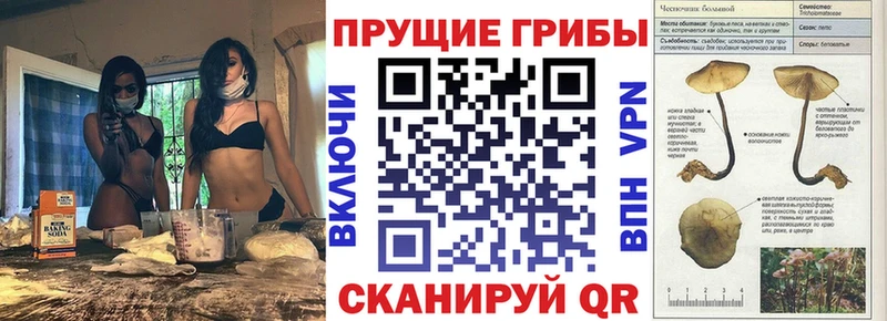 Галлюциногенные грибы GOLDEN TEACHER Великие Луки
